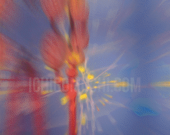 1689409803738371.gif 3b2fb06e63907225b4cc11ebfab90f30.gif