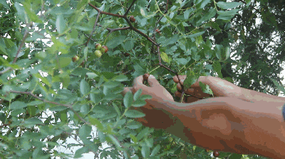 1690385012607610.png 6cb7db235cbe2c73468ca6bac4fee19.png