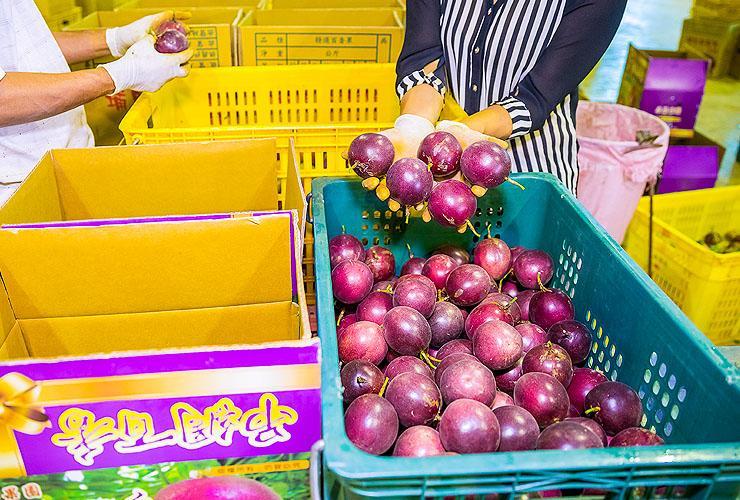 1717771129120782.jpg 2.jpg